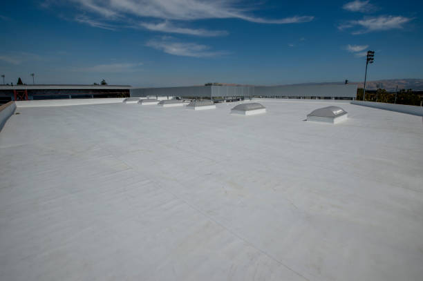 Best Roof Maintenance and Cleaning  in Amelia Court House, VA
