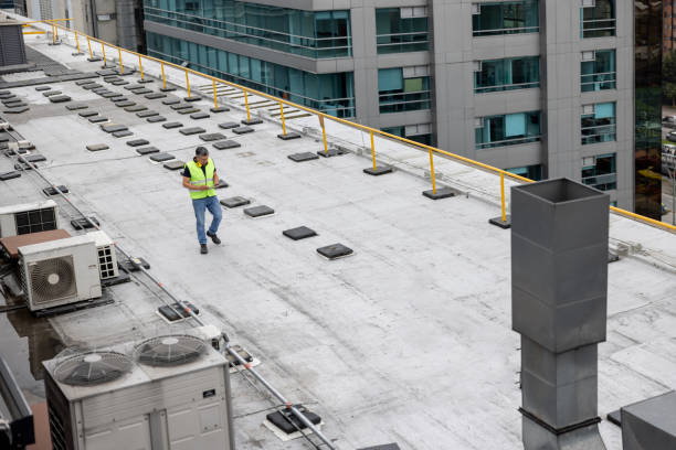 Best Roof Ventilation Installation  in Amelia Court House, VA