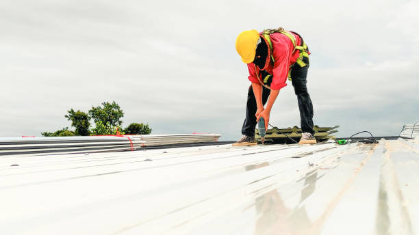Gutter Replacement in Amelia Court House, VA